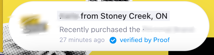 A popup showing customers who bought a program from a landing page