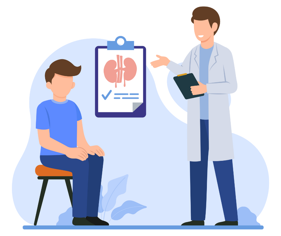 Kidney scan illustration